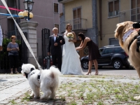 arriva_la_sposa-5